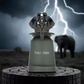 Perfume French Avenue Thunder Eau de Parfum Masculino 100ML