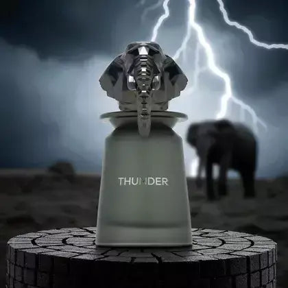 Perfume French Avenue Thunder Eau de Parfum Masculino 100ML