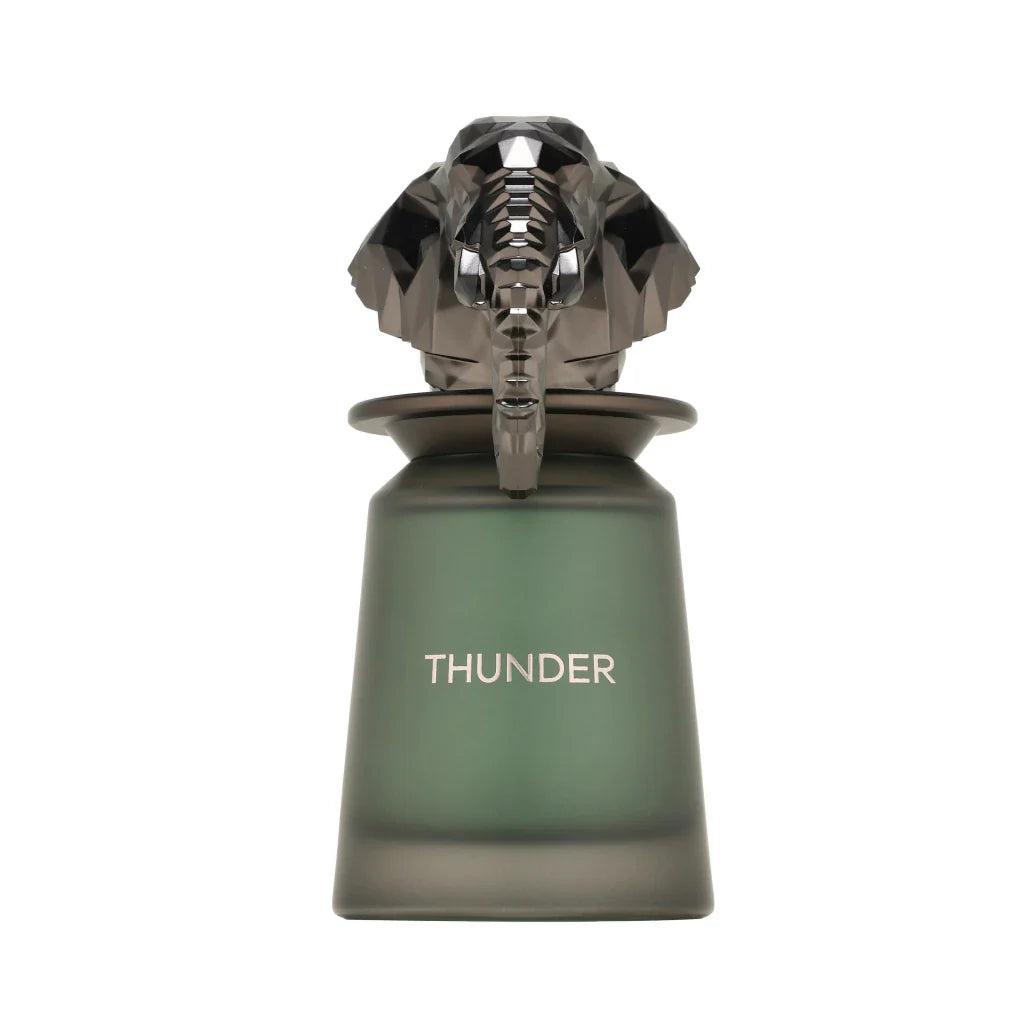 Perfume French Avenue Thunder Eau de Parfum Masculino 100ML